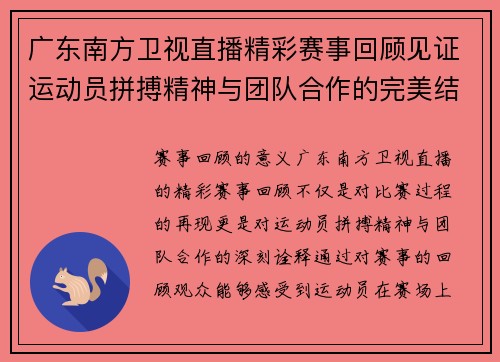 广东南方卫视直播精彩赛事回顾见证运动员拼搏精神与团队合作的完美结合